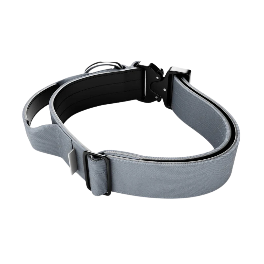 Pet Collar M 45cm Silver