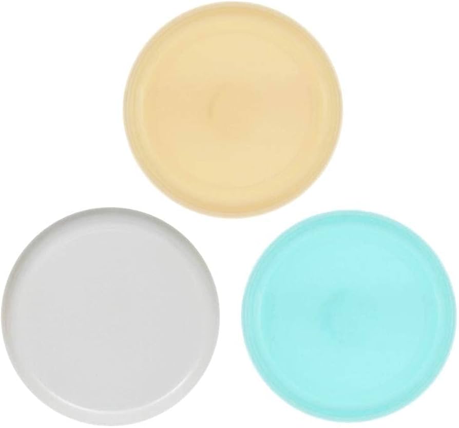 23cm Picnic Plates Set of 4