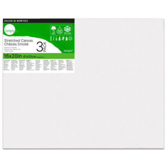 3-Pack 16x20 Daler-Rowney Simply Canvas