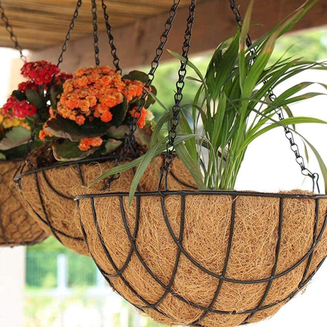 Wire Hanging Basket with Coco Liner