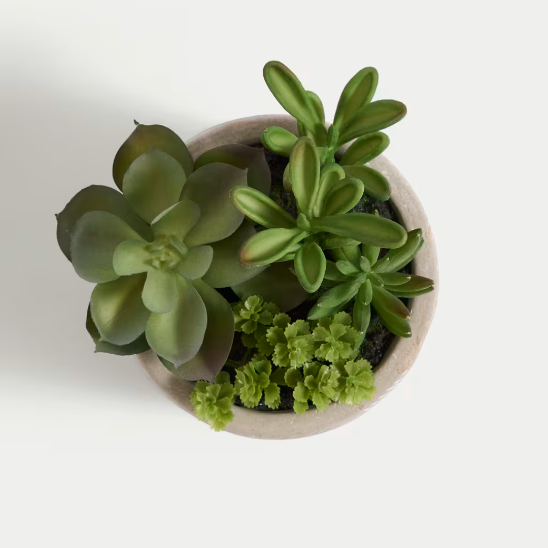 Artificial Mini Succulent in Concrete Pot