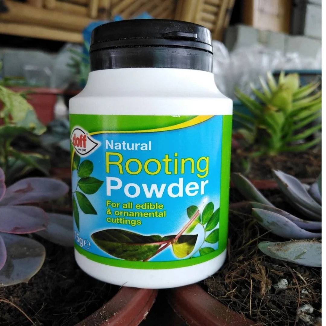 Natural Rooting Powder 75g