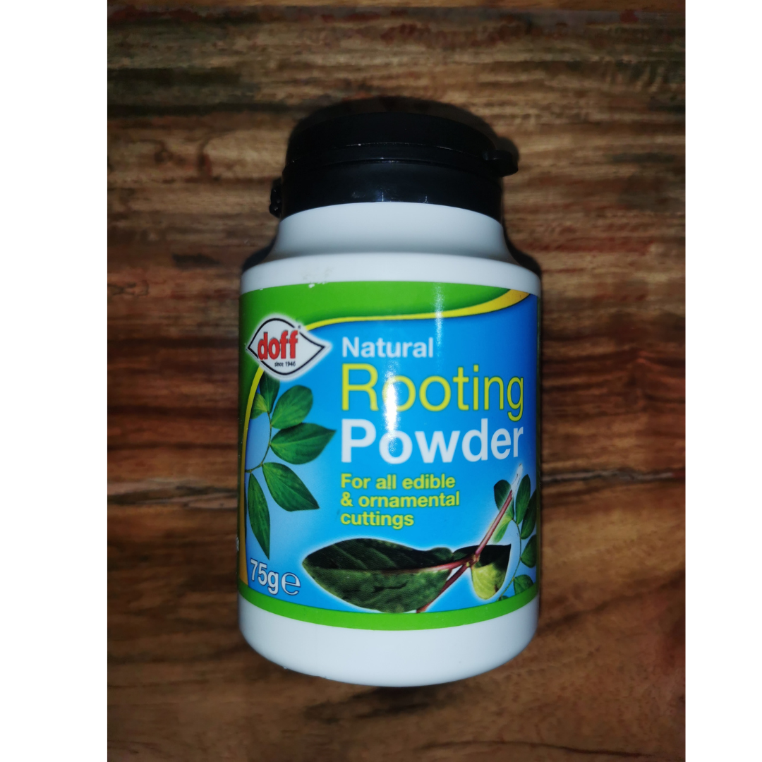 Natural Rooting Powder 75g