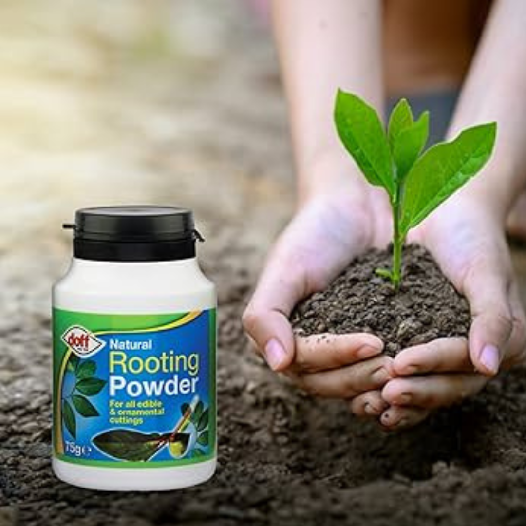 Natural Rooting Powder 75g