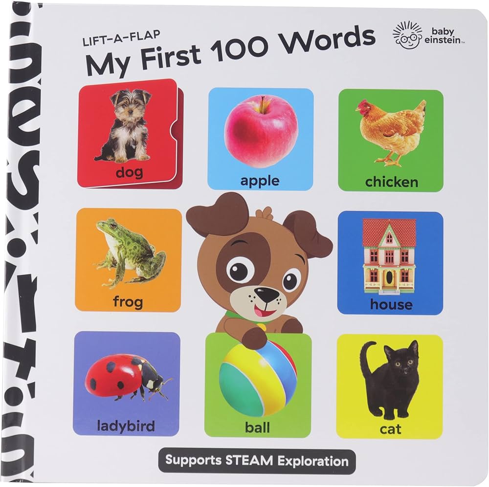 Baby Einstein My First 100 Words Book