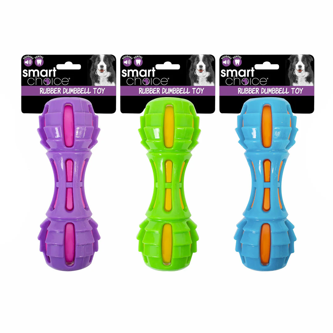 Dumbbell Rubber Dog Toy with Squeak