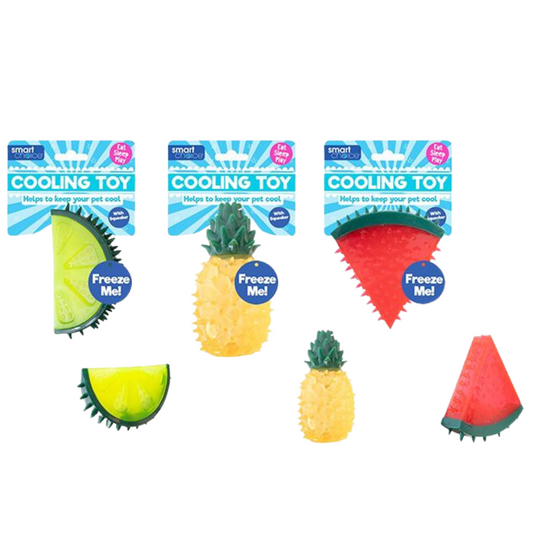 Summer Cooling Fruit Rubber Dog Toy