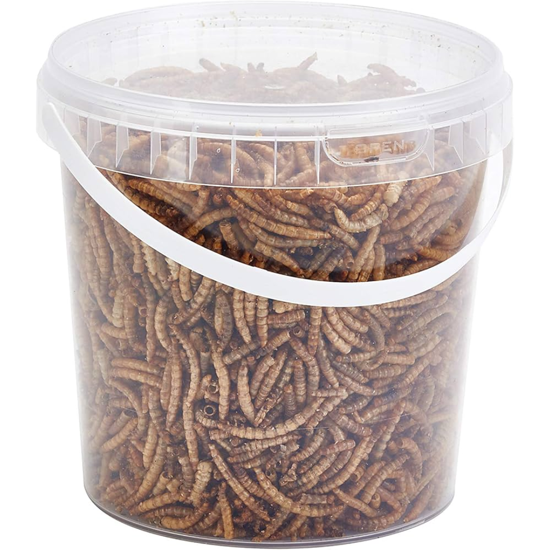 Mealworms 1kg Bucket