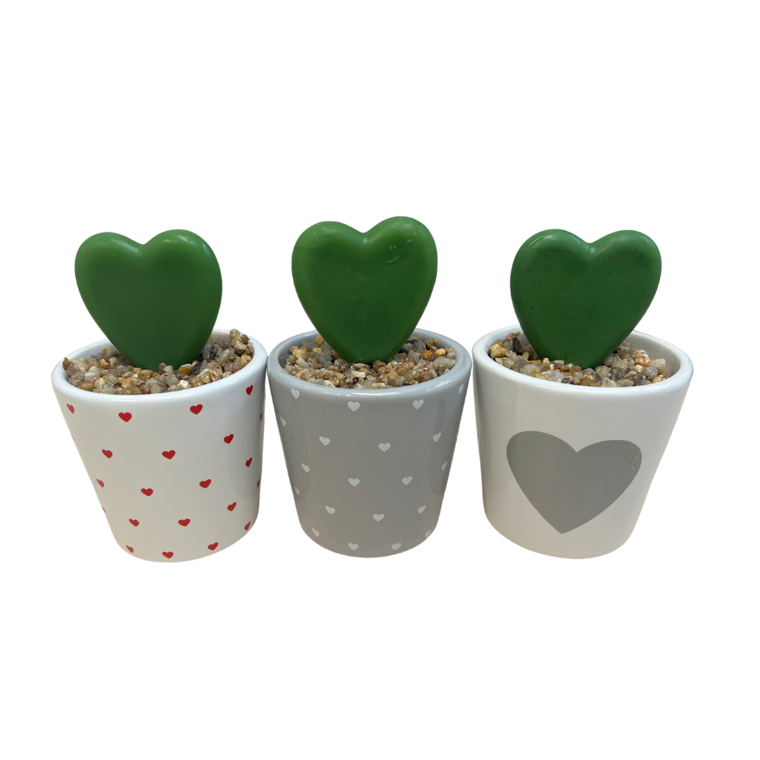 Ceramic Pot with Succulent Mixed Heart Shapes