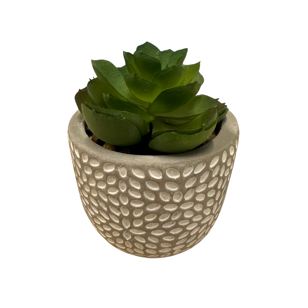 Artificial Mini Succulent in Concrete Pot