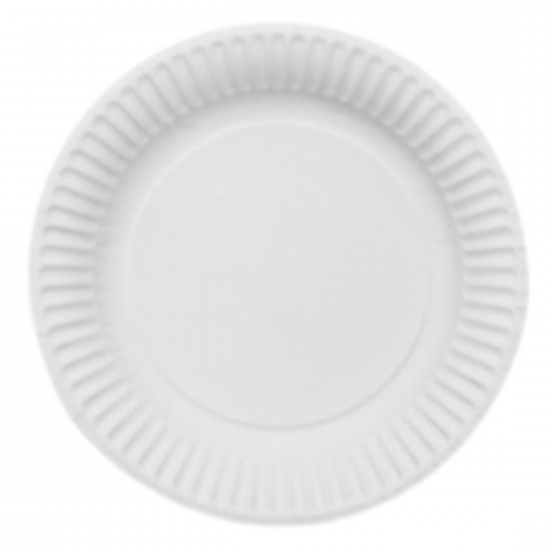 100-Pack 23cm White Paper Plates