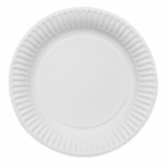 100-Pack 23cm White Paper Plates