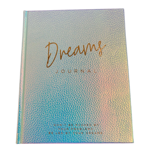 Dream Journal Silver Notebook 80 Pages