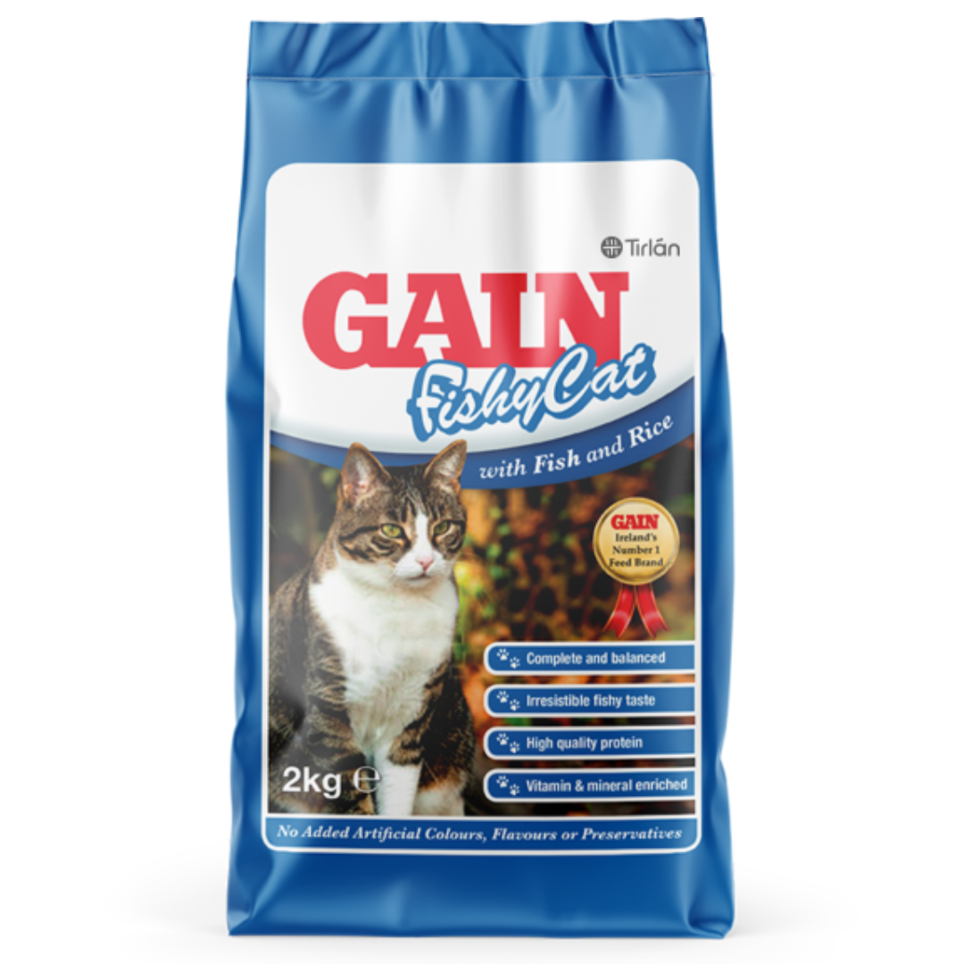 Gain Fishycat 2kg